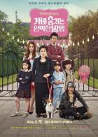 Как украсть собаку