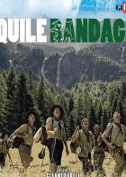 Aquile Randagie