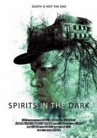 Spirits in the Dark