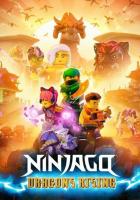Ninjago: Dragons Rising