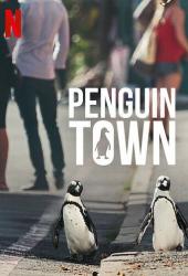 Город пингвинов