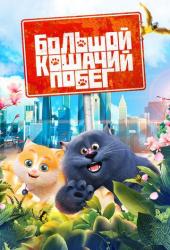 Большой кошачий побег