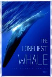 The Loneliest Whale: The Search for 52