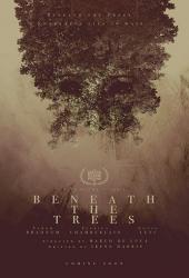 За деревьями