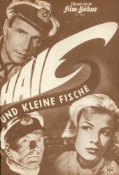 Акулы и мелкие рыбешки