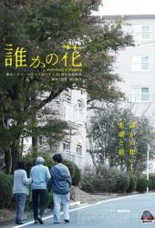 Чьи-то цветы