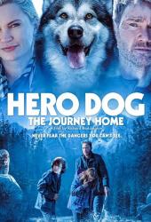 Собака-герой: Путешествие домой