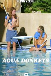 Agua Donkeys