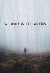 We Wait in the Woods