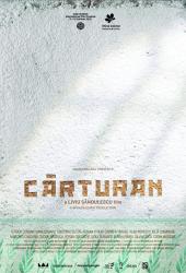 Carturan