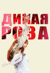 Дикая Роза