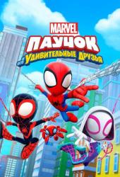 Паучок и его удивительные друзья