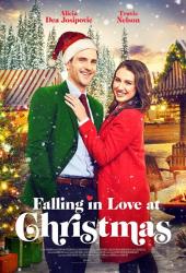 Falling in Love at Christmas
