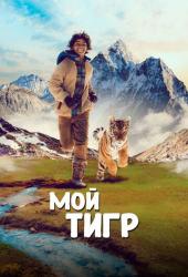 Мой тигр