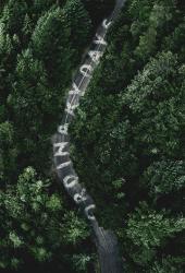 Обычные дни