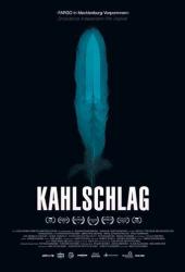 Kahlschlag