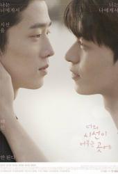 Там, где замрёт твой взгляд