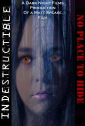 Indestructible: No Place to Hide