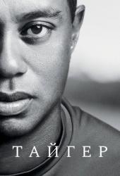 Тайгер