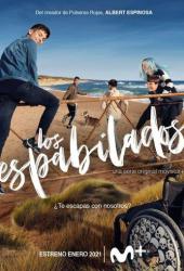 Шустрые ребята