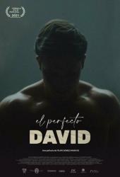El perfecto David