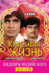 Красивая жизнь