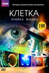 BBC: Клетка