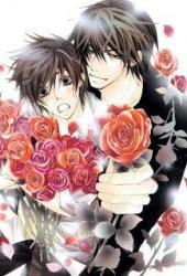 Лучшая в мире первая любовь