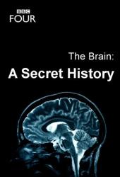 The Brain: A Secret History