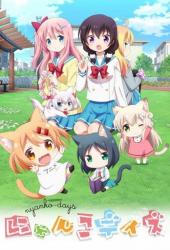 Кошачьи дни