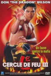 Огненное кольцо 3: Удар льва