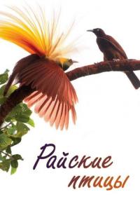 Райские птицы