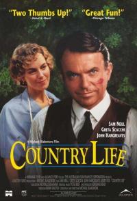 Провинциальный роман