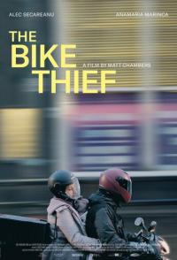 The Bike Thief