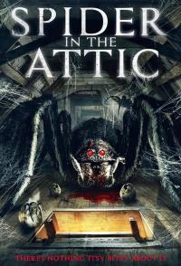 Spider from the Attic