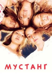 Мустанг