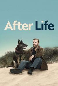 Следом за жизнью