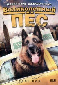 Великолепный пес
