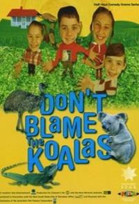 Коалы не виноваты