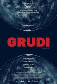 Grudi