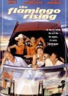 Восход Фламинго