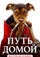 Путь домой