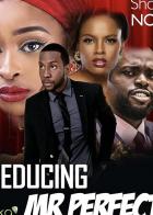 Seducing Mr. Perfect