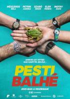 Pesti balhé