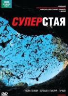 BBC: Суперстая
