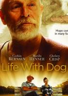 Life with Dog