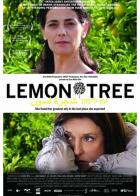 Лимонное дерево