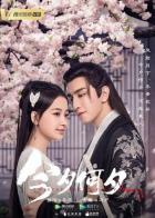 Какая сегодня ночь!