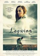 Lapwing