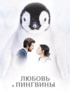 Любовь и пингвины